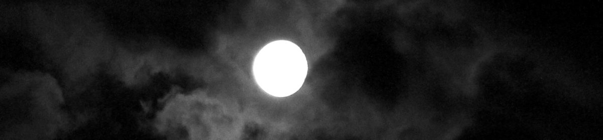 Wolf Moon Dawn