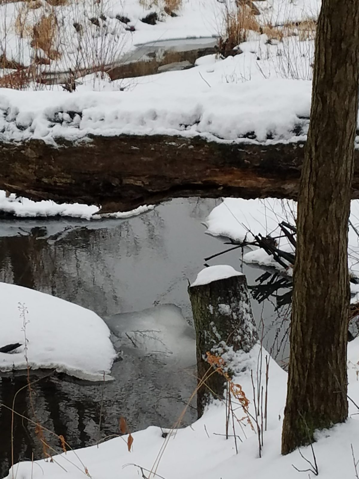 Winter snow melting